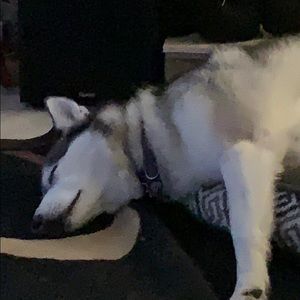 Meet your Posher, Jen